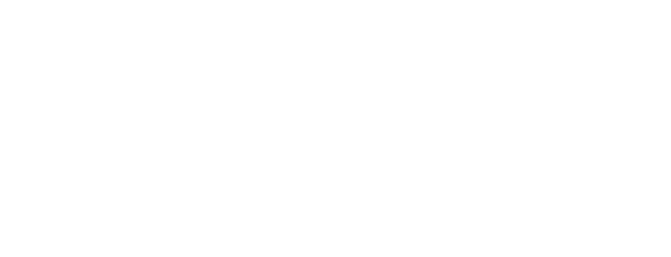 logo Nationaal Oogcentrum Naarden